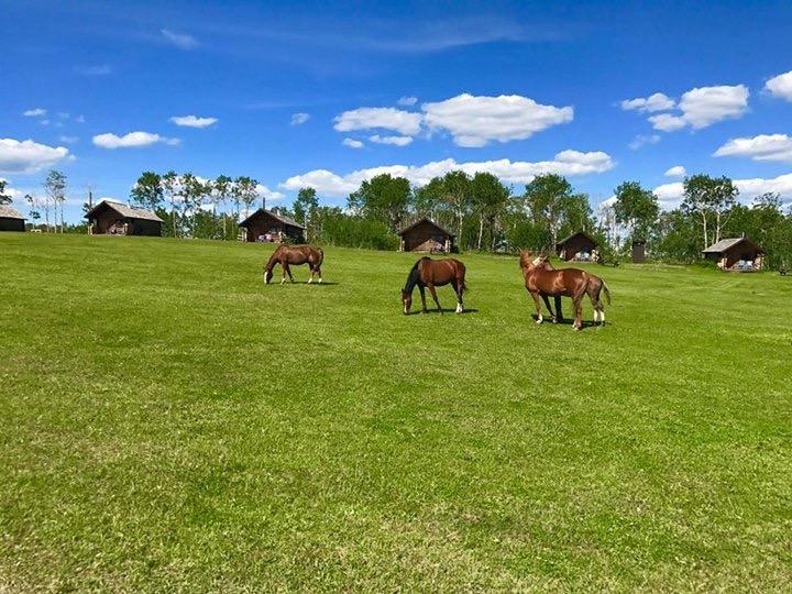 Flying U Ranch Hotell Seventy Mile House Eksteriør bilde